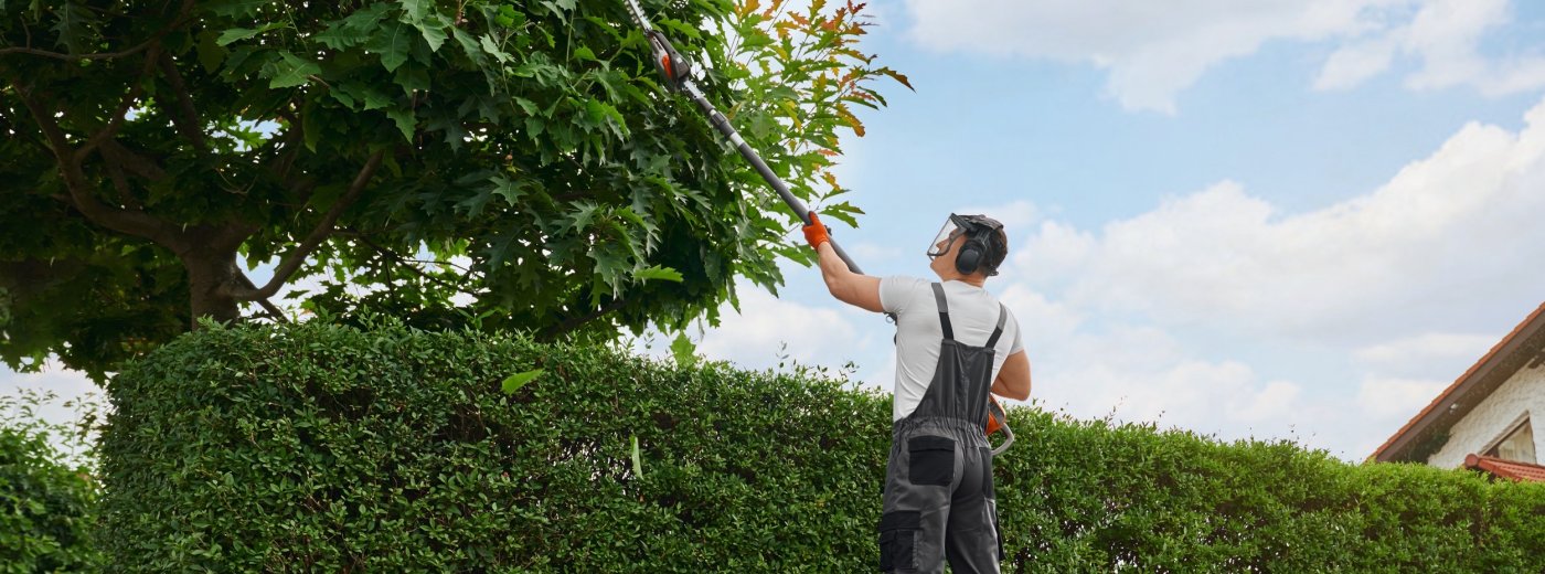 Salarié de particulier employeur